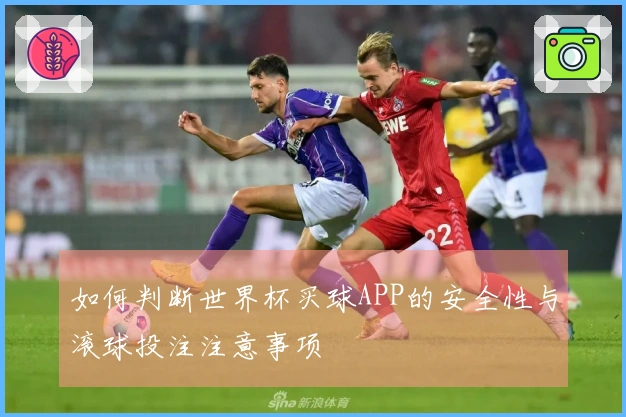 如何判断世界杯买球APP的安全性与滚球投注注意事项