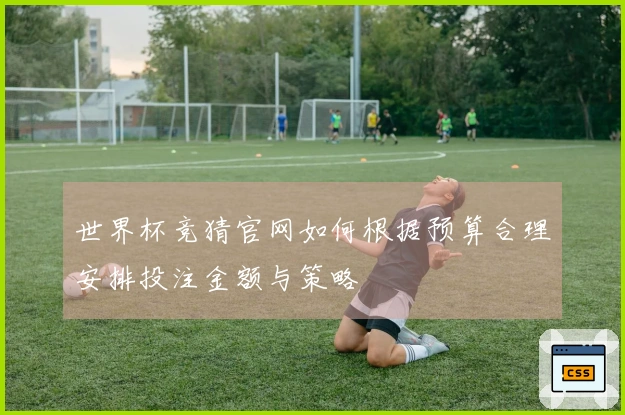 世界杯竞猜官网如何根据预算合理安排投注金额与策略