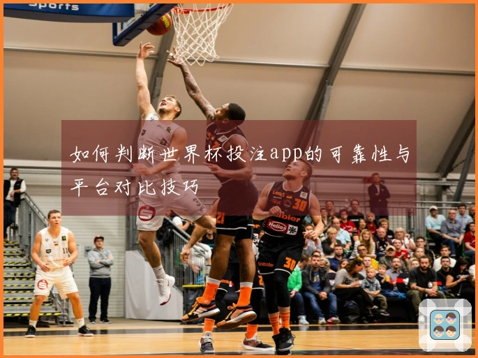 如何判断世界杯投注app的可靠性与平台对比技巧