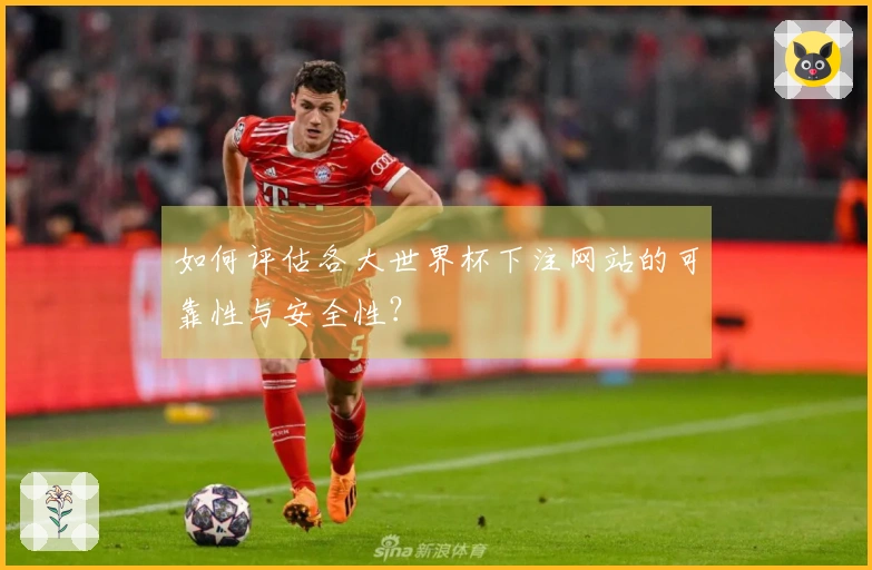 如何评估各大世界杯下注网站的可靠性与安全性？
