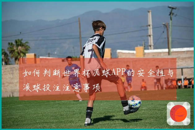 如何判断世界杯买球APP的安全性与滚球投注注意事项