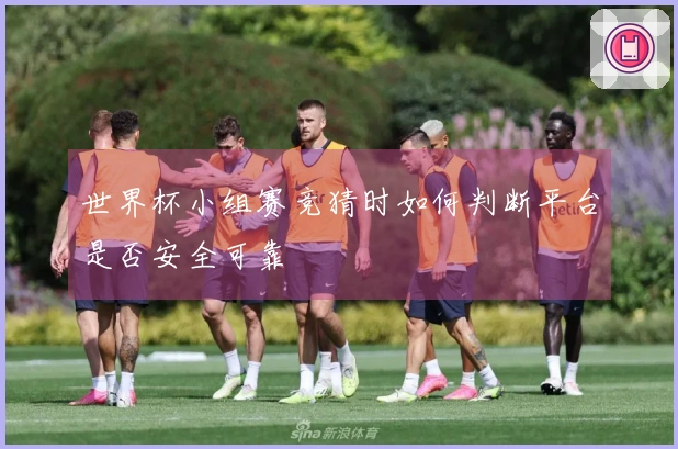 世界杯小组赛竞猜时如何判断平台是否安全可靠