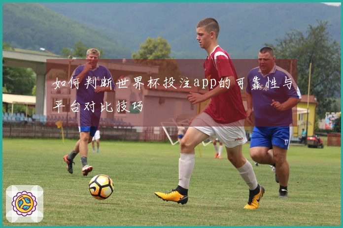 如何判断世界杯投注app的可靠性与平台对比技巧