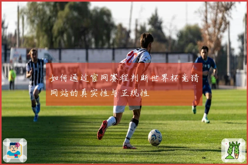 如何通过官网赛程判断世界杯竞猜网站的真实性与正规性