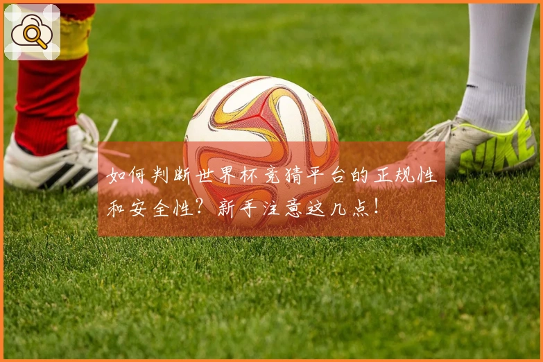 如何判断世界杯竞猜平台的正规性和安全性？新手注意这几点！